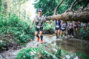 BIB: 
                            <button type="button" onclick="openModal(25468625)" class="btn btn-primary btn-sm float-right btn-popup" data-toggle="modal" data-target=".modal-high-quality">
                        <i class="fas fa-shopping-cart"></i> Add to Cart
                    </button>
                                            <button type="button" onclick="isThisMe(25468625, true)" class="btn btn-success btn-sm float-right btn-popup btn-isme hidden" data-toggle="tooltip" data-placement="bottom" title="นี่คือรูปของคุณใช่ไหม คลิกที่นี่เพื่อเอาเข้าอัลบั้ม">
                        <i class="fas fa-plus"></i> Add to album
                    </button>
                    <button type="button" onclick="isThisMe(25468625, false)" class="btn btn-warning btn-sm float-right btn-popup btn-isnotme hidden">
                        <i class="fas fa-ban"></i> Remove from album
                    </button>